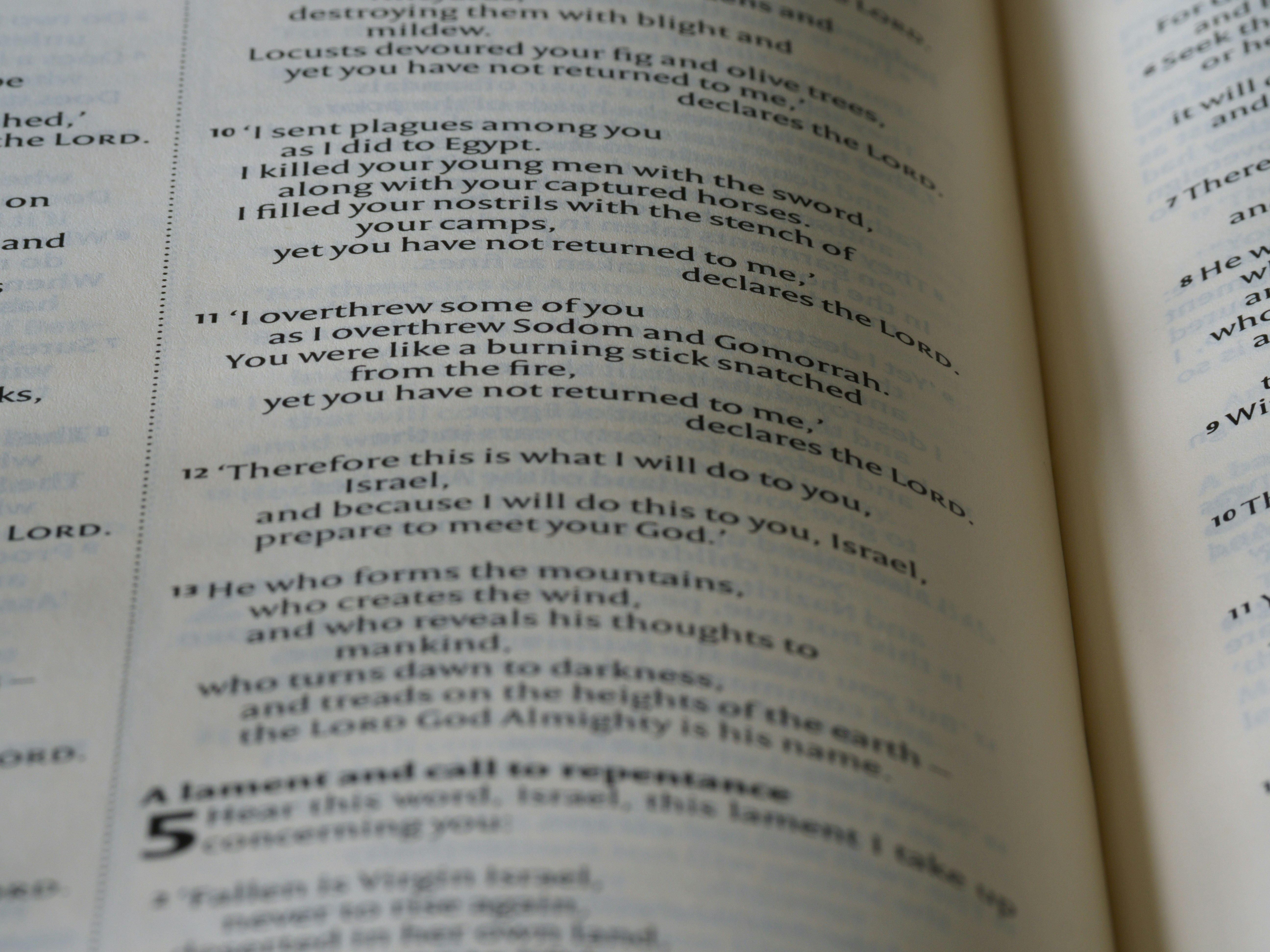 close up, bokeh, macro, blur, blurred background, close focus, bible, old testament, hebrew bible, christian, judaism, history, text, reading, bible study, devotions, text, NIV, New International Version, type, typography, canon, christianity, holy scripture, holy bible, scripture, old testament, hebrew bible, prophecy, exile, judgement, judgment, redemption, septuagint, destruction of jerusalem, restoration of israel, restoration, amos, minor prophets, jeroboam ii, kingdom of judah,